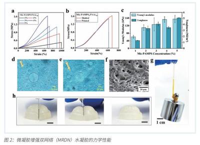 3D打印微結(jié)構(gòu)水凝膠傳感器 開(kāi)啟可穿戴智能醫(yī)療設(shè)備制造新篇章